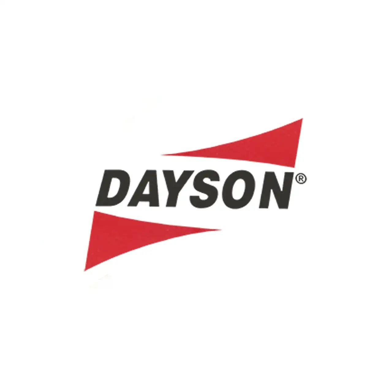 Dayson logosu